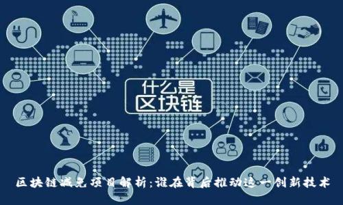 区块链减免项目解析：谁在背后推动这一创新技术