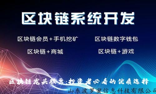 区块链龙头股票：投资者必看的优质选择