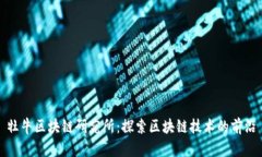 牡牛区块链研究所：探索区块链技术的前沿