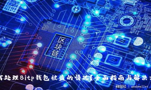 如何处理Bitp钱包被盗的情况？全面指南与解决方案