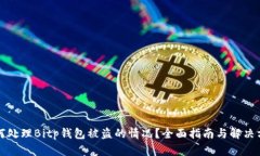 如何处理Bitp钱包被盗的情况？全面指南与解决方