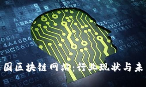 探索法国区块链网站:行业现状与未来前景