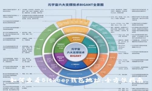 如何查看Bitkeep钱包地址:全方位指南