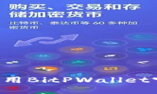 如何访问和使用BitPWallet官网：全面指南