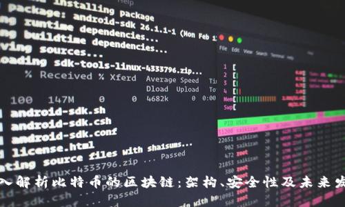 深入解析比特币的区块链:架构、安全性及未来发展