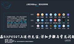 如何在BitPUSDT上进行充值：详细步骤与常见问题解