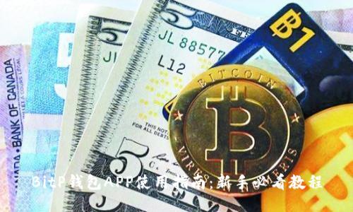 BitP钱包APP使用指南:新手必看教程