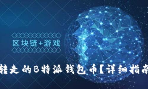 如何找回被转走的B特派钱包币？详细指南与解决方案
