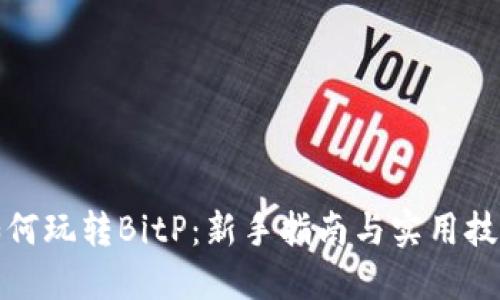 如何玩转BitP:新手指南与实用技巧