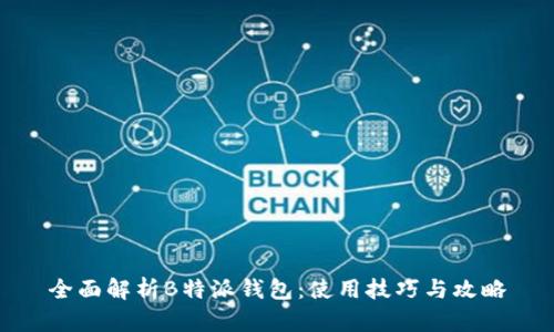 全面解析B特派钱包:使用技巧与攻略