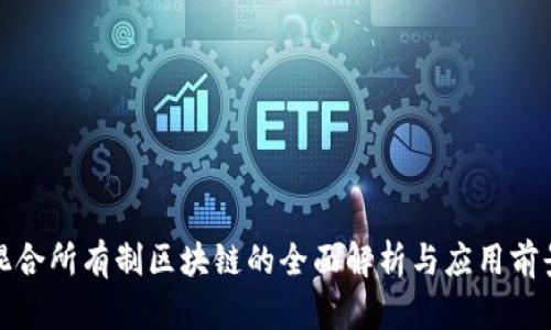 混合所有制区块链的全面解析与应用前景