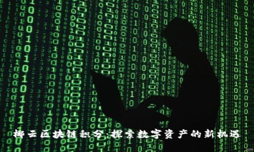 椰云区块链积分:探索数字资产的新机遇