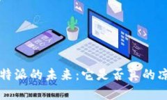 探讨B特派的未来：它是否真的凉凉了？