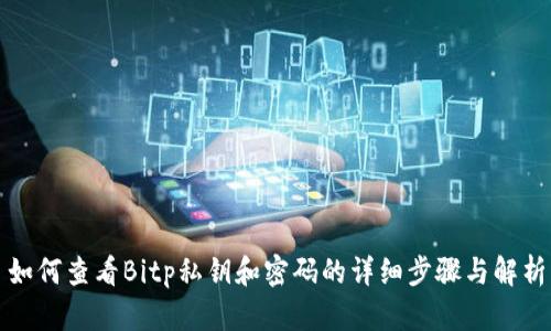 如何查看Bitp私钥和密码的详细步骤与解析