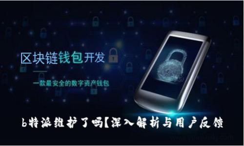 b特派维护了吗？深入解析与用户反馈
