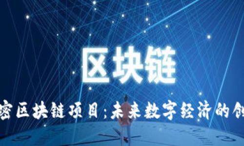 揭秘秘密区块链项目:未来数字经济的创新之路
