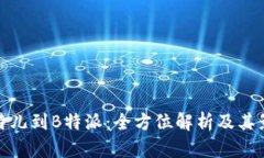 比特儿到B特派：全方位解析及其影响