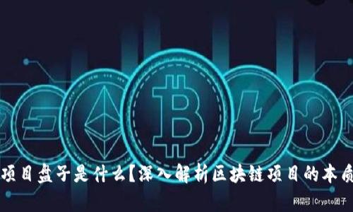 区块链项目盘子是什么?深入解析区块链项目的本质与趋势