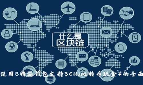 如何使用B特派钱包支持BCH（比特币现金）的全面指南