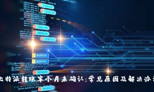 比特派转账半个月未确认:常见原因及解决办法