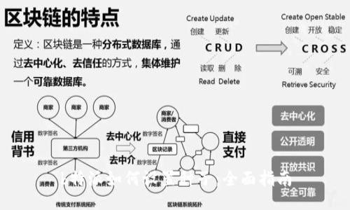 b特派如何设置种子：全面指南