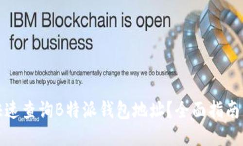 如何快速查询B特派钱包地址?全面指南与技巧