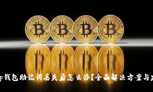 Bitp钱包助记词丢失后怎么办?全面解决方案与建议