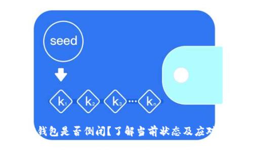 BitP钱包是否倒闭?了解当前状态及应对措施