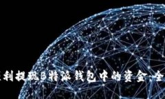 如何顺利提现B特派钱包中的资金：全面指南