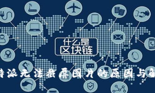 关于B特派无法截屏图片的原因与解决方案