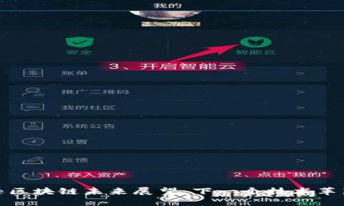 亚马逊区块链未来展望:下一个技术革新趋势