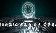 全面解析B特派BCH分叉币：特点、前景与投资指南
