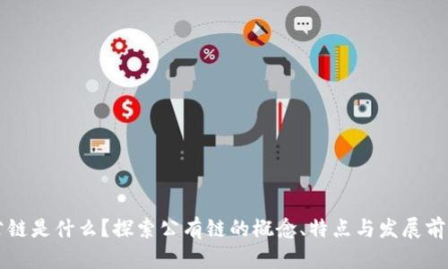公链是什么?探索公有链的概念、特点与发展前景