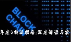 2023年度B特派指南：深度解读与实用技巧