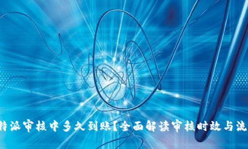 b特派审核中多久到账？全面解读审核时效与流程
