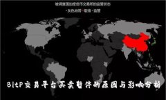 BitP交易平台买卖暂停的原因与影响分析