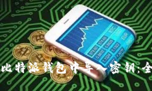 如何在比特派钱包中导入密钥:全面指南