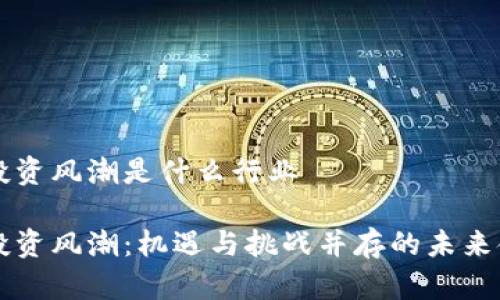 区块链投资风潮是什么行业

区块链投资风潮：机遇与挑战并存的未来金融行业