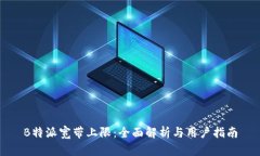 B特派宽带上限：全面解析与用户指南