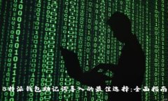 B特派钱包助记词导入的最佳选择：全面指南