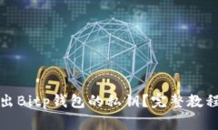 如何安全导出Bitp钱包的私钥？完整教程与注意事