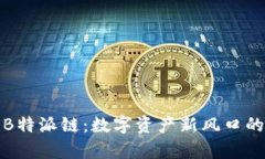 全面解析B特派链：数字资产新风口的未来趋势