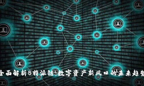 全面解析B特派链:数字资产新风口的未来趋势