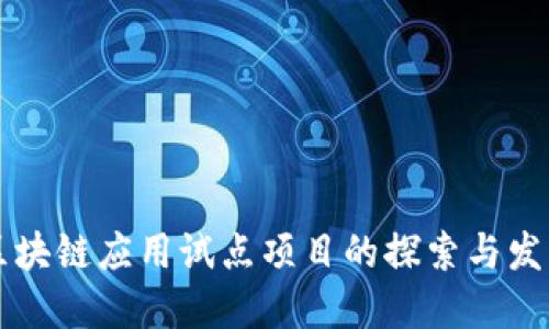 区块链应用试点项目的探索与发展