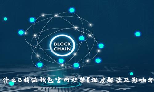 为什么B特派钱包官网被禁？深度解读及影响分析