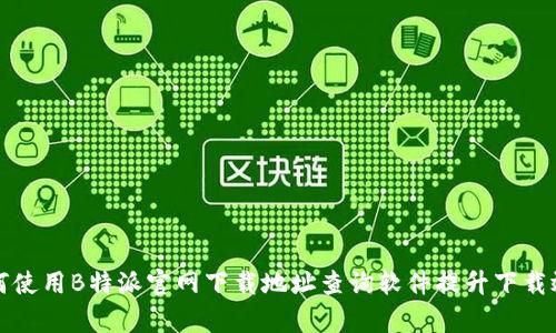 如何使用B特派官网下载地址查询软件提升下载效率