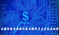 区块链技术面临的最大挑战与未来发展趋势