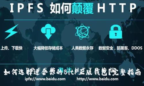 如何选择适合你的BitP正版钱包？完整指南