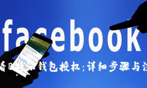 如何查看B特派钱包授权:详细步骤与注意事项