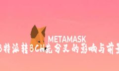 理解B特派转BCH先分叉的影响与前景分析